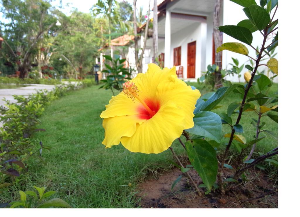 Highland Bungalow Phu Quoc Bagian luar foto